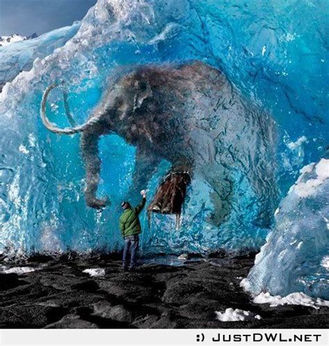 Real Mammoth found in Ice | Unbelievable pictures, Wooly mammoth ...