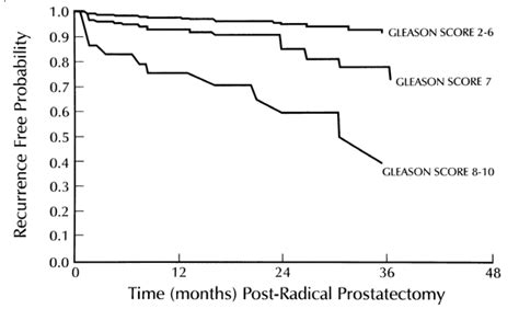 survival rate gleason score 7 - Terrie Meador