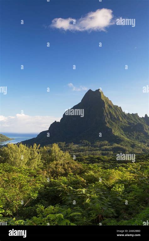 Mount Rotui, Mo'orea, Society Islands, French Polynesia Stock Photo - Alamy