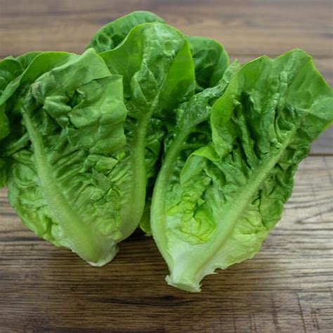 Lettuce Little Gem - McCullagh Simply Fresh