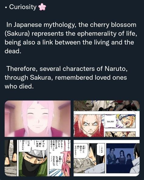 Pin by Rachel Tilden on Naruto | Naruto facts, Naruto, Sakura haruno