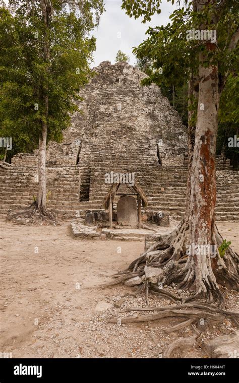 Coba - Mayan ruins Stock Photo - Alamy