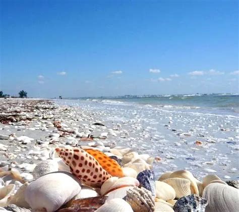 Sanibel Island FL - The World's Best Shelling Beaches - Beach Bliss Living