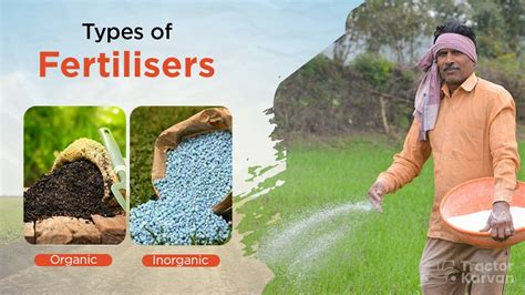 Best types of Fertilisers Used in Agriculture to Protect Crops