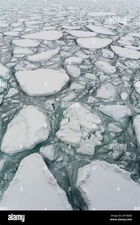 A view of melting sea ice. North polar ice cap, Arctic ocean Stock ...