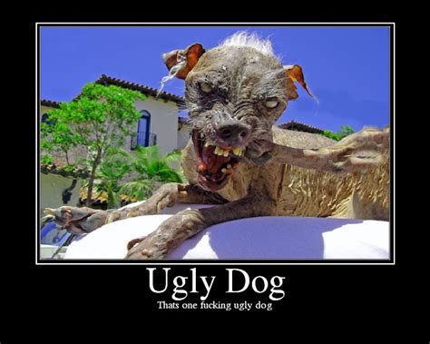 [Image - 26472] | Sam the World's Ugliest Dog | Know Your Meme