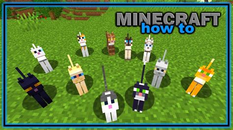 Everything You Need to Know About Cats in Minecraft! | Easy Minecraft Mob Guide – HousePetsCare.com