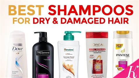 Caractériser Quadrant Champ de mines best shampoo for hair Poisson anémone terrain de jeux ...