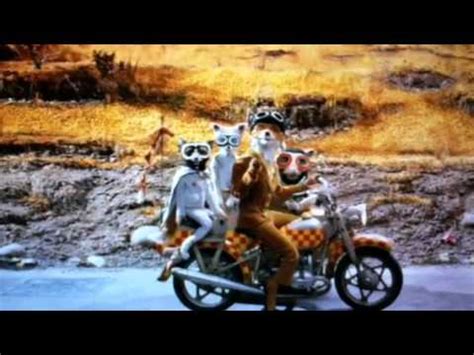 Wolf scene from Fantastic Mr. Fox - YouTube