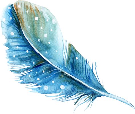 watercolor feather clipart 10 free Cliparts | Download images on Clipground 2024