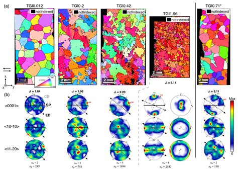 TC - Recrystallization processes, microstructure and crystallographic preferred orientation ...