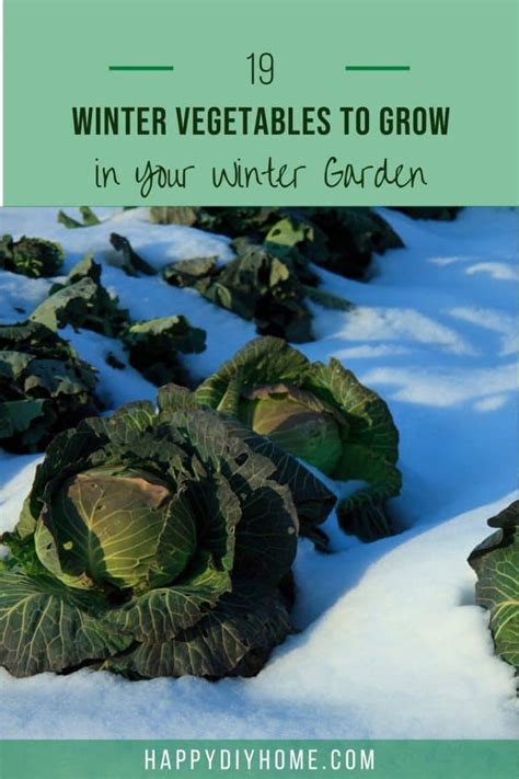 19 Winter Vegetables to Grow in Your Winter Garden | Happy DIY Home