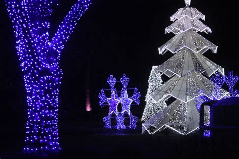 Wild Winter Lights returns to Cleveland Zoo for 2021