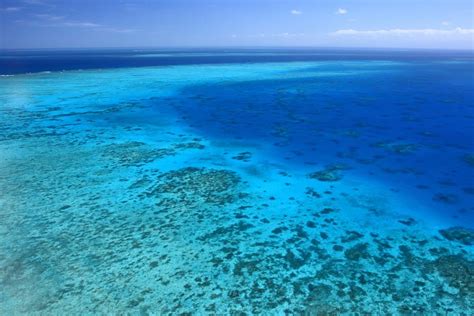 The Great Barrier Reef, Australia - Infographic, Facts, Information