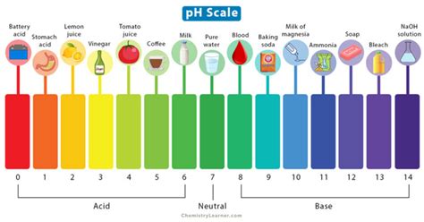 pH Scale: Definition, Chart, Values, & Range