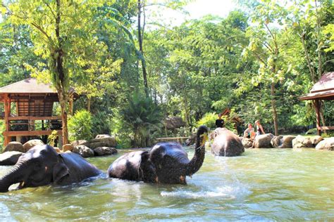 Khao Lak: Ethical Elephant Sanctuary Experience