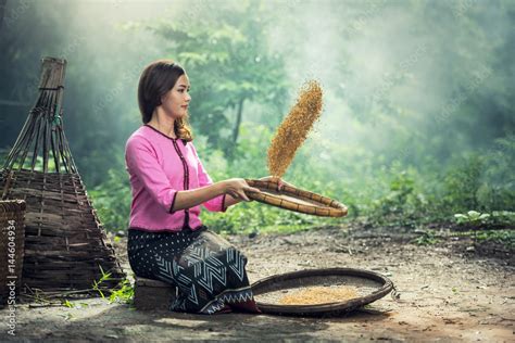 Beautiful girl winnowing rice separate between rice and rice husk Stock ...