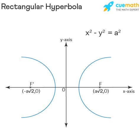 Rectangular Hyperbola - Equation, Definition, Properties, Examples