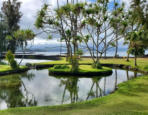 Richardson Ocean Park, Hilo - Hawaii Beaches