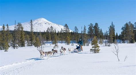 Welcome to Trysil - everything about Accommodation, Activities and Events in Trysil