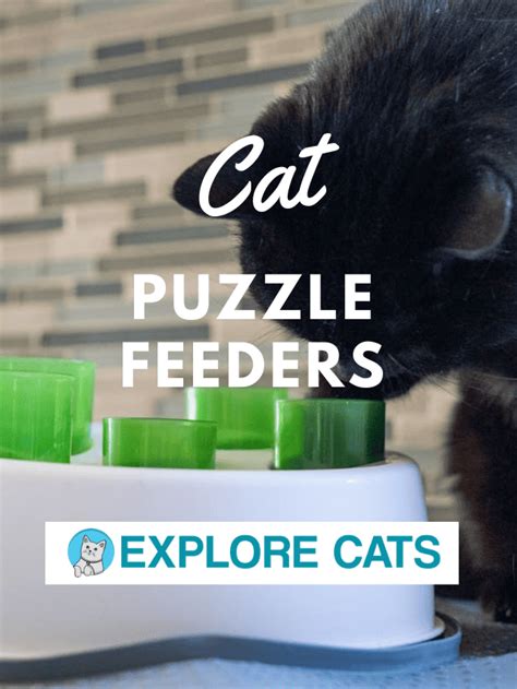 Cat puzzle feeders - Explore Cats