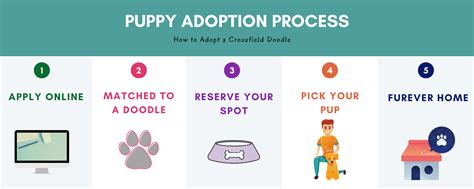 puppy adoption process - Crossfield Doodles