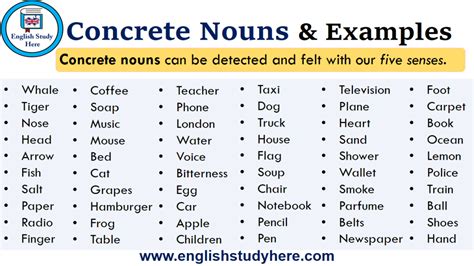 Concrete Noun Examples Sentences