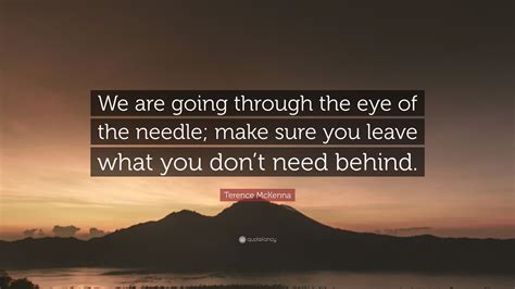 Terence McKenna Quote: “We are going through the eye of the needle; make sure you leave what you ...