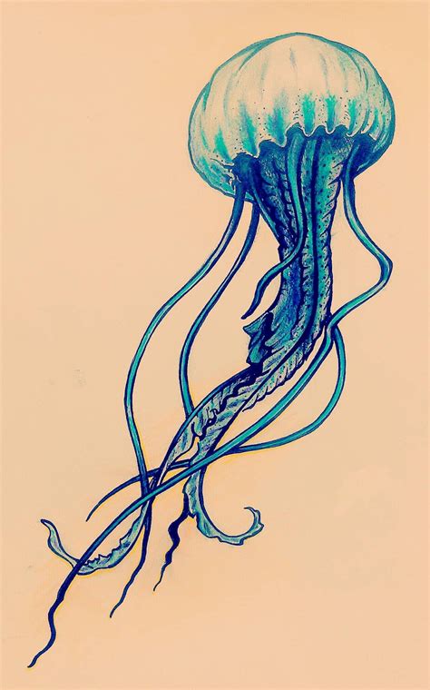 Simple jellyfish (ink and watercolor pencil) | Jellyfish drawing, Jellyfish painting, Jellyfish art