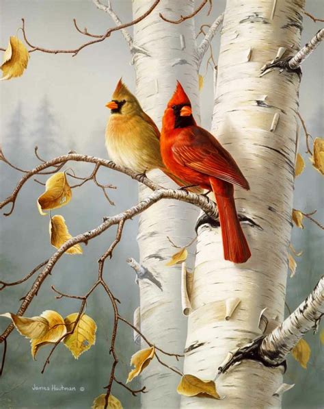 798 best Paintings images on Pinterest | Bird paintings, Paintings of ...