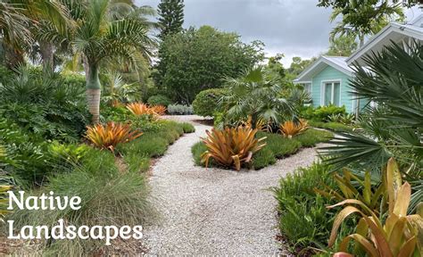 Why Use Florida Native Plants in Your Landscaping?