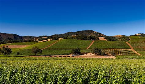 A brief history of wine in California’s Napa Valley | Cult Wines