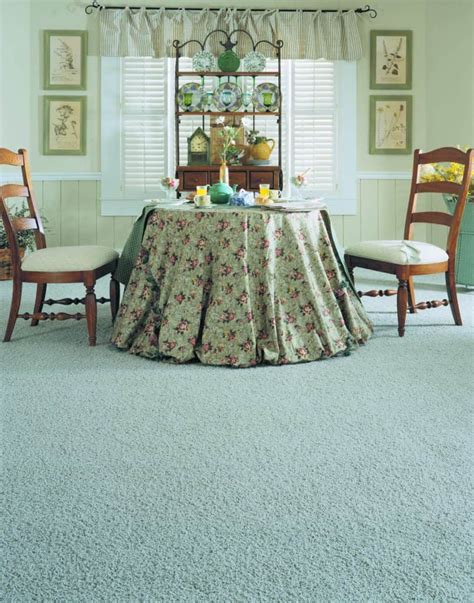 Nylon Carpet - Shop All Carpet Options at Martin's Flooring | Martin's ...