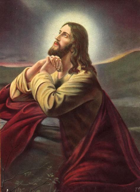 Jesus Praying | Jesus pictures, Jesus christ, Jesus