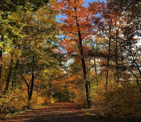 Rondeau Provincial Park: Nature's Symphony Awaits - Indie88