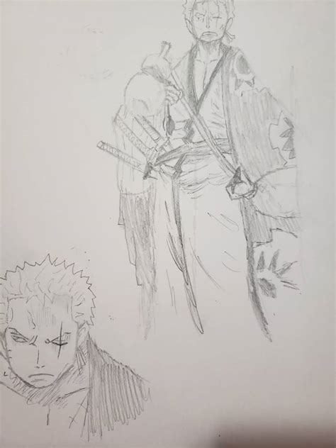 Zoro Sketches by acecat101 on DeviantArt