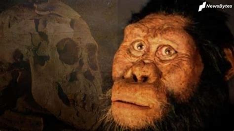 Scientists discover 3.8 million-year-old fossil of ancient human ancestor