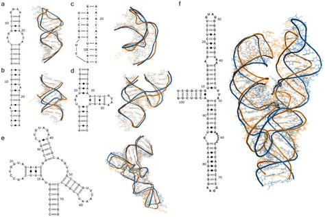 Automated and fast building of three-dimensional RNA structures ...