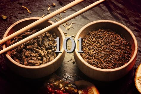 Entomophagy 101: Getting Started with Edible Insects | Edible Insects For Sale