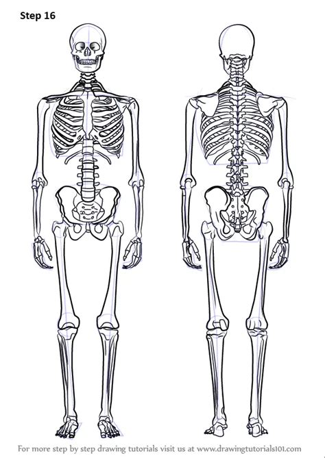 How to Draw a Skeleton (Everyday Objects) Step by Step ...