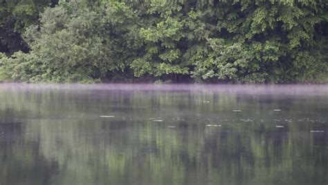 Fog On a Lake Stock Footage Video (100% Royalty-free) 8194843 | Shutterstock