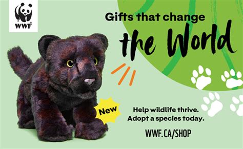 Holiday gift guide: WWF-Canada reveals six new adoptable species and ...