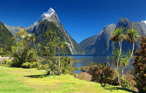 The Ultimate New Zealand South Island Road Trip Itinerary - 2023 Edition