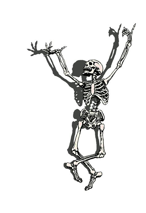 Cartoon Skeleton Images