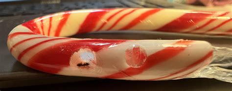 Ants burrowed into my candy cane : r/mildlyinteresting