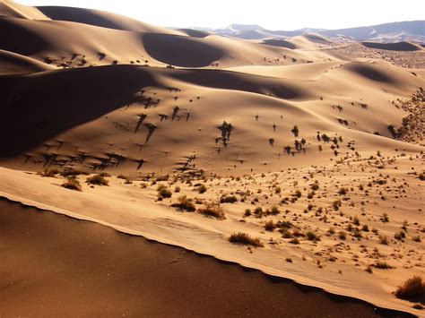 File:Namib Desert Namibia(1).jpg - Wikimedia Commons