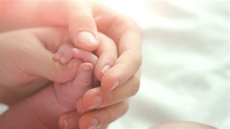 Family Baby Hands together. Father and Mother Holding Newborn baby hand ...