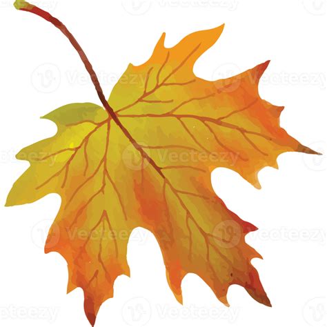 Autumn Leaves Clip art Element Transparent Background 24400368 PNG