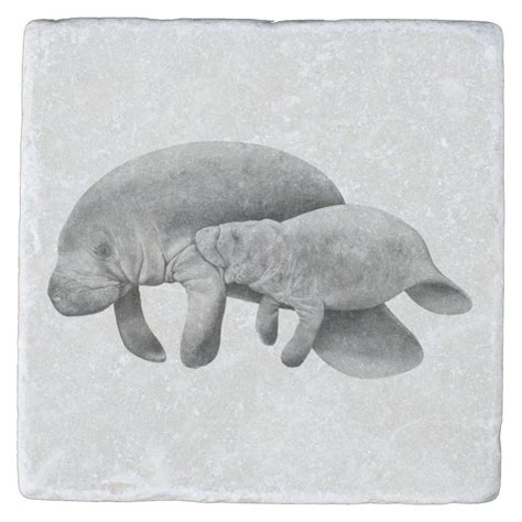 Manatee Mother with Calf Stone Coaster | Zazzle | Stone coasters ...