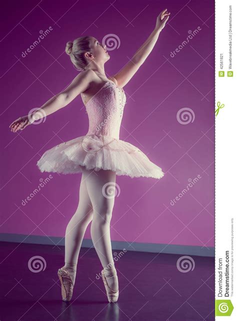 Bevallige Ballerina Dansende En Pointe Stock Afbeelding - Image of schitterend, mening: 42561821